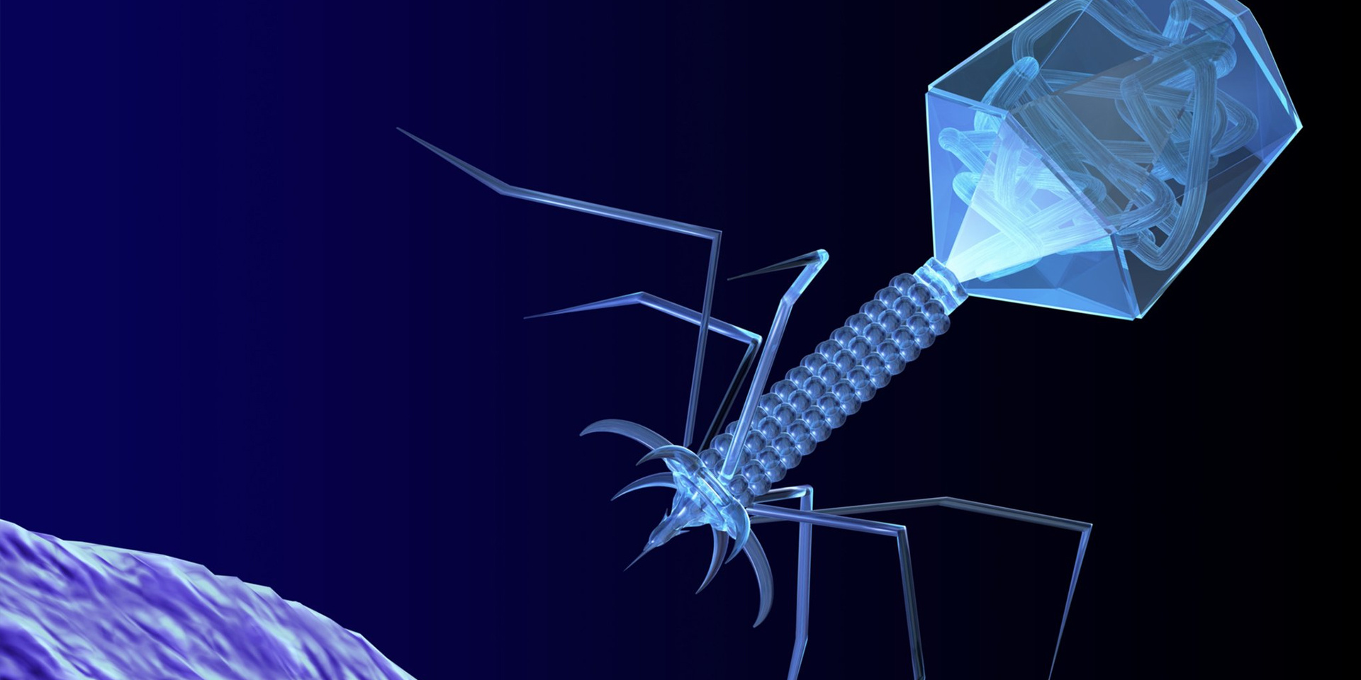 全球领先的噬菌体生物制造产业平台