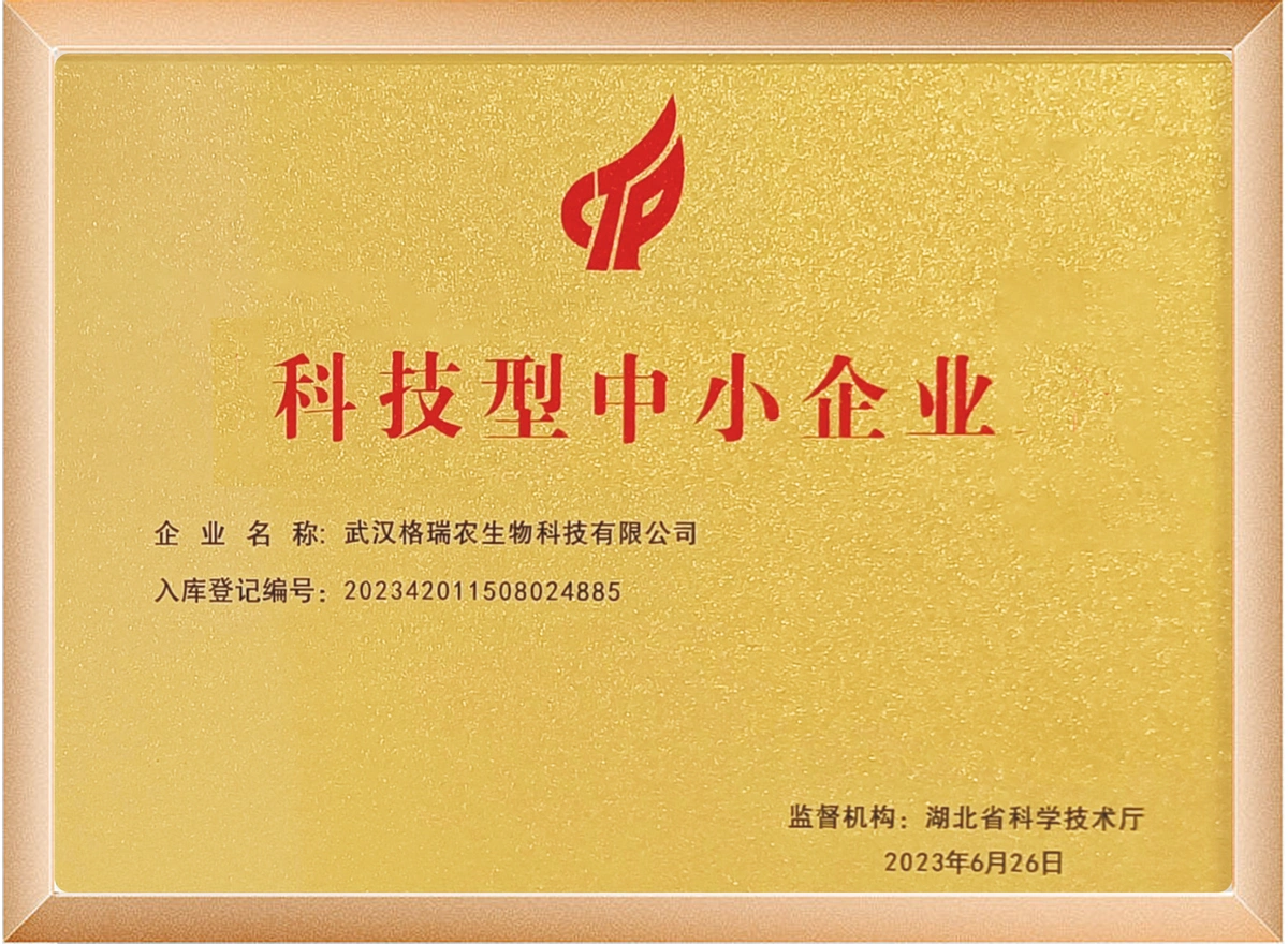 科技型中小企业 （编号:2024420115A8026126）