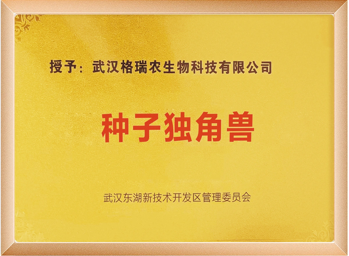 种子独角兽企业