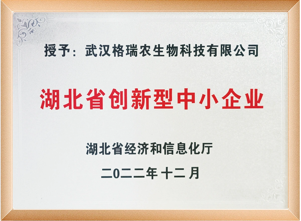 创新型中小企业