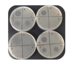 733130d9-6fe1-4c2b-86df-f3d8ed73679c.png 733130d9-6fe1-4c2b-86df-f3d8ed73679c.png