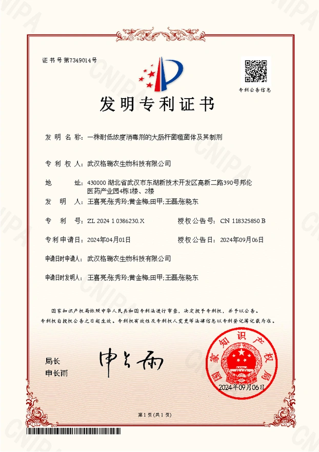 X耐低浓度消毒剂的大肠杆菌噬菌体