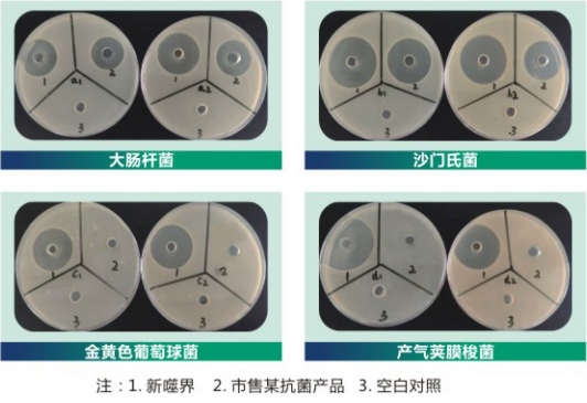 030f395d-3136-4b77-9e1f-550bd887bd8e.png 030f395d-3136-4b77-9e1f-550bd887bd8e.png