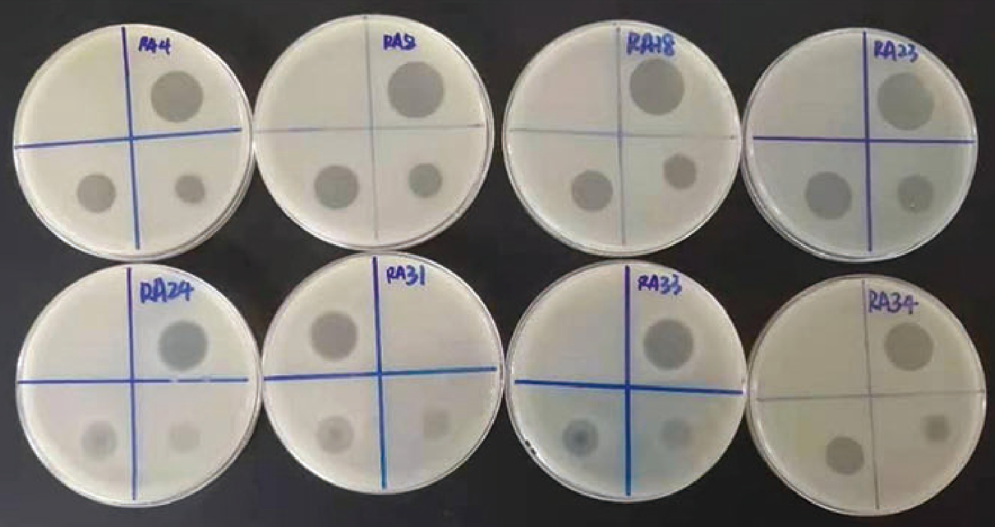 caadb235-8d26-4489-8c2b-9576f3f3a349.png caadb235-8d26-4489-8c2b-9576f3f3a349.png