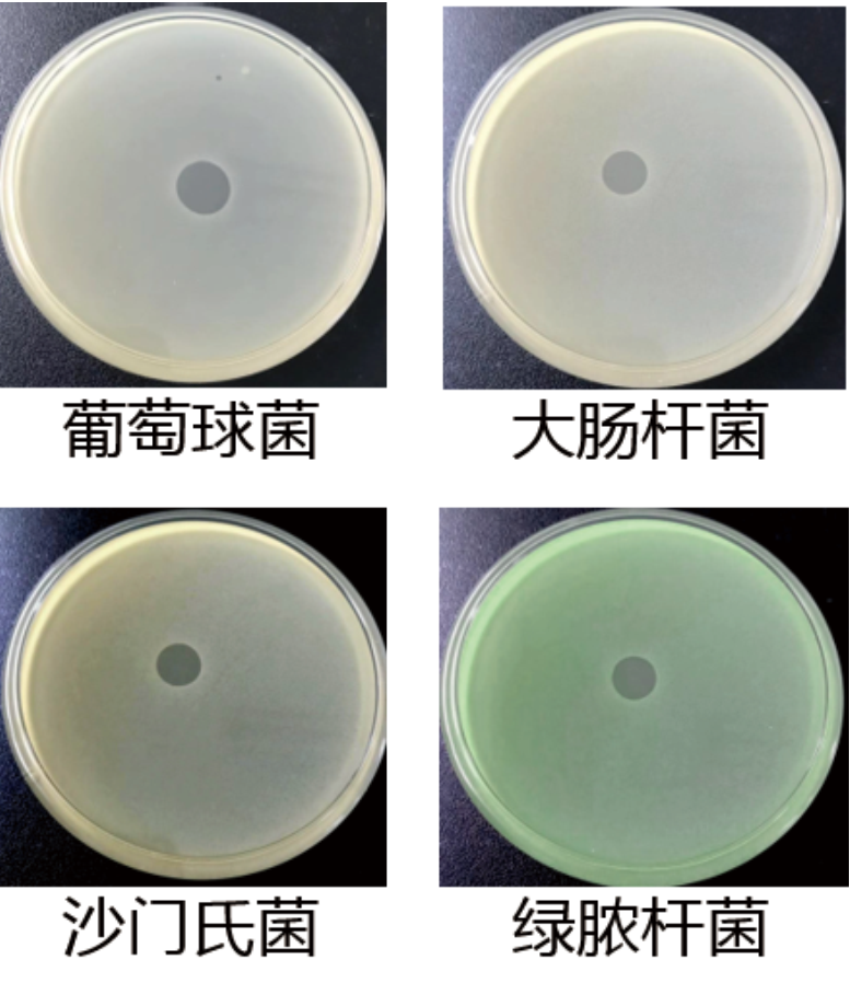 3287b147-2774-46c2-a3e1-b9d553b08205.png 3287b147-2774-46c2-a3e1-b9d553b08205.png